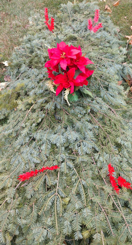 02B - 12" Adult Blanket with Poinsettia Bouquet