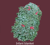 Grave Blankets